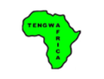 Tengwa Africa